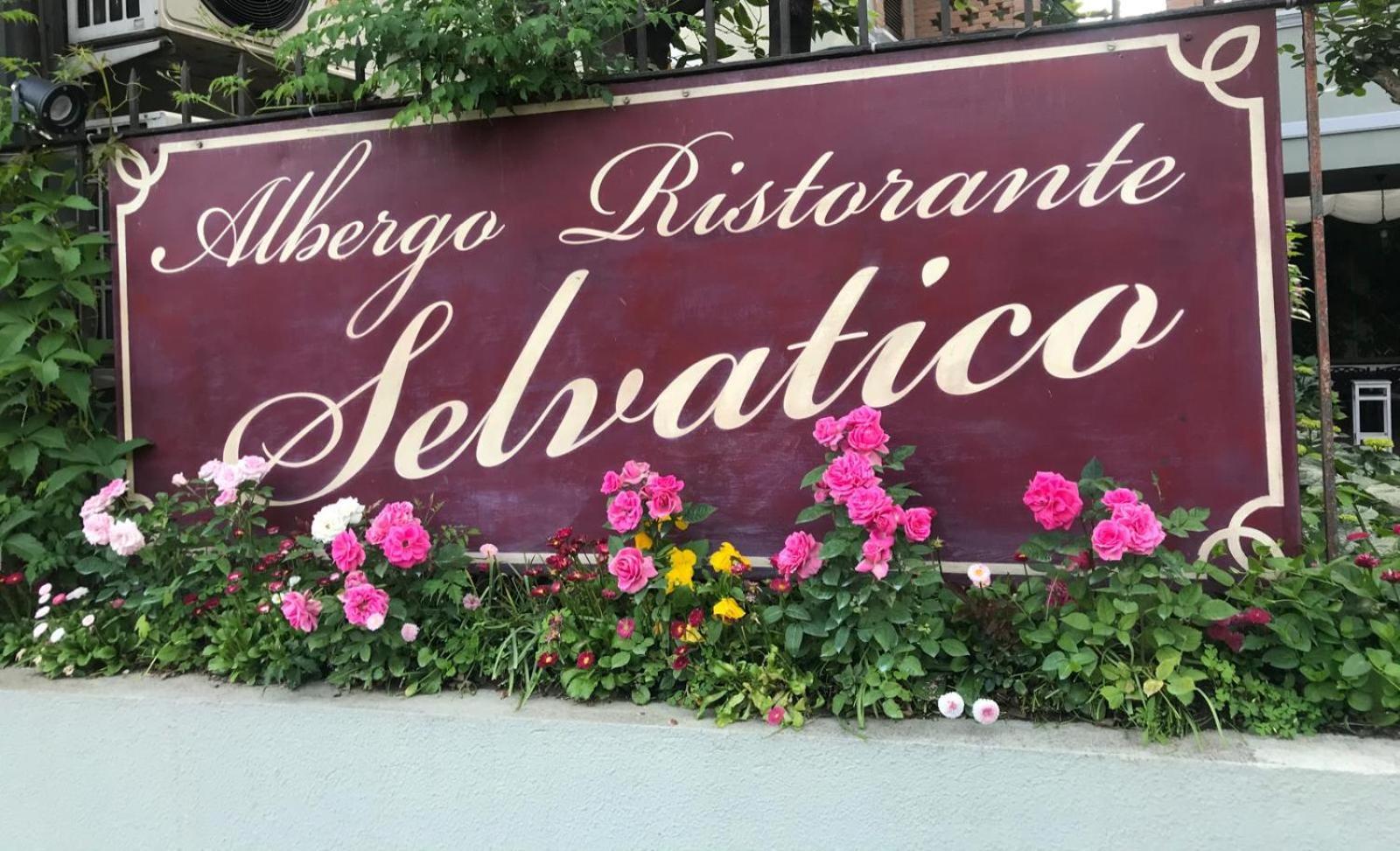 Albergo & Ristorante Selvatico リヴァナッツァーノ エクステリア 写真